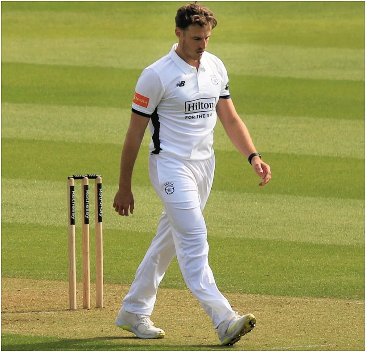 Brad Wheal